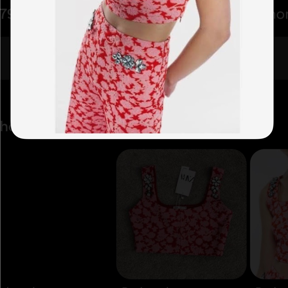 Zara Pink and Red Floral Embroidered Garment